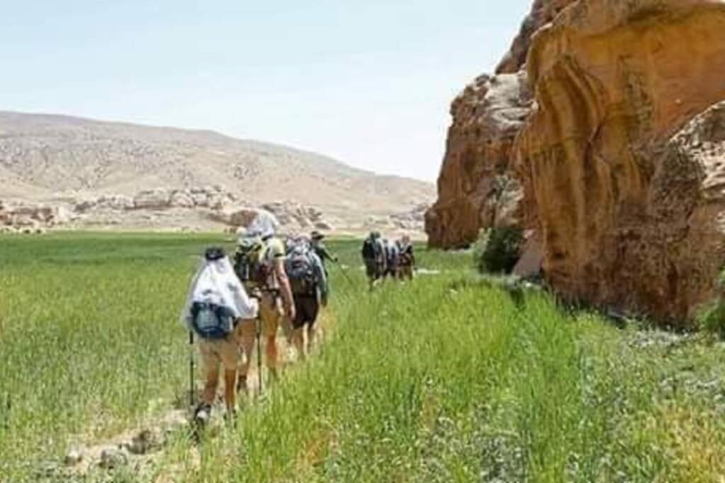 Bedouin Nature Travels Wadi Musa Exterior foto