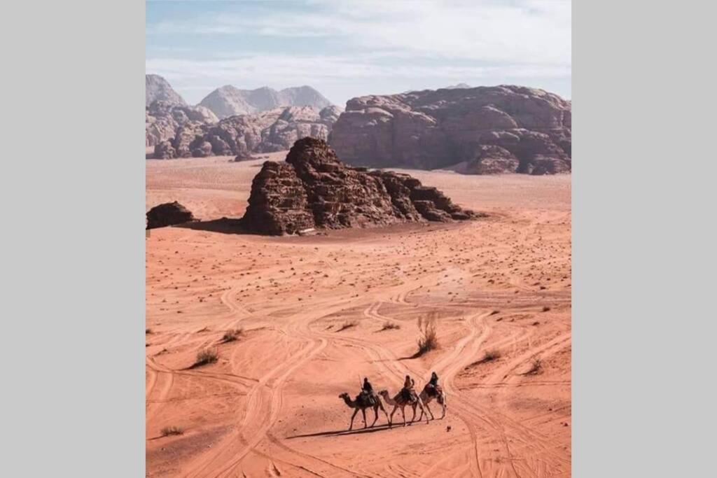 Bedouin Nature Travels Wadi Musa Exterior foto