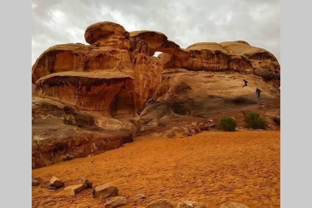 Bedouin Nature Travels Wadi Musa Exterior foto