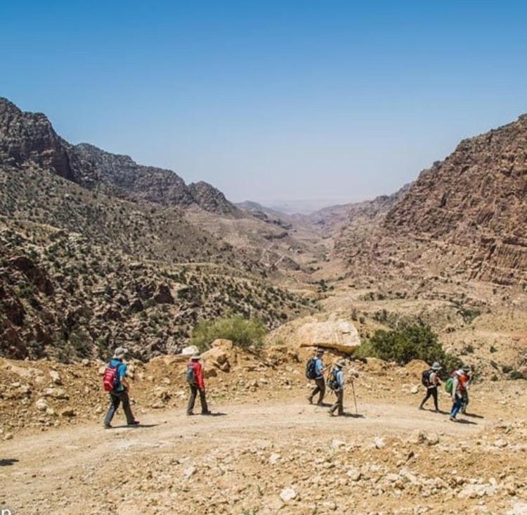 Bedouin Nature Travels Wadi Musa Exterior foto