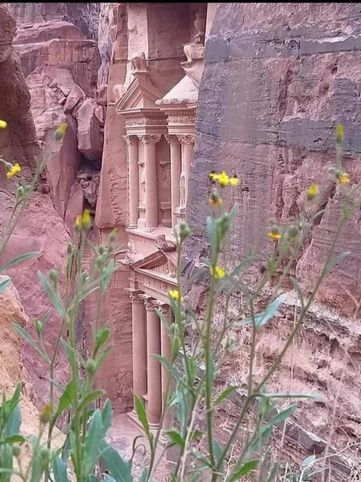 Bedouin Nature Travels Wadi Musa Exterior foto