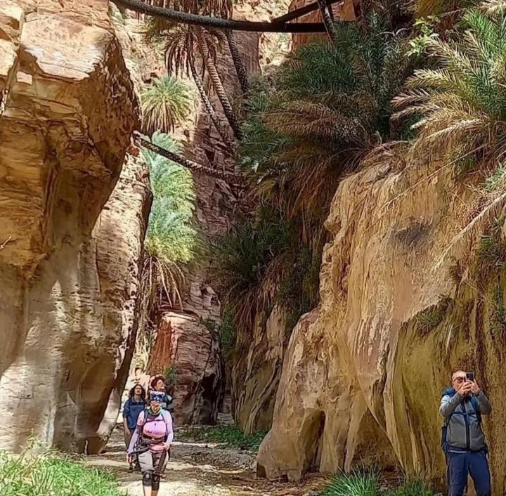 Bedouin Nature Travels Wadi Musa Exterior foto